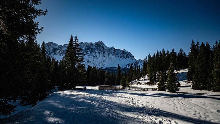 api img 696a536152c98