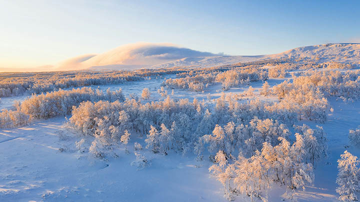 api img 696ba5141c011