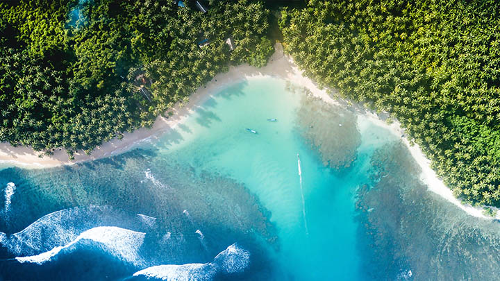 api img 696c0a4f1d5f9