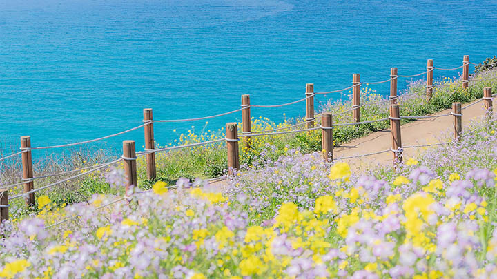 ToDesk安卓下载指南:全面解析下载与安装过程 api img 696c78964057f