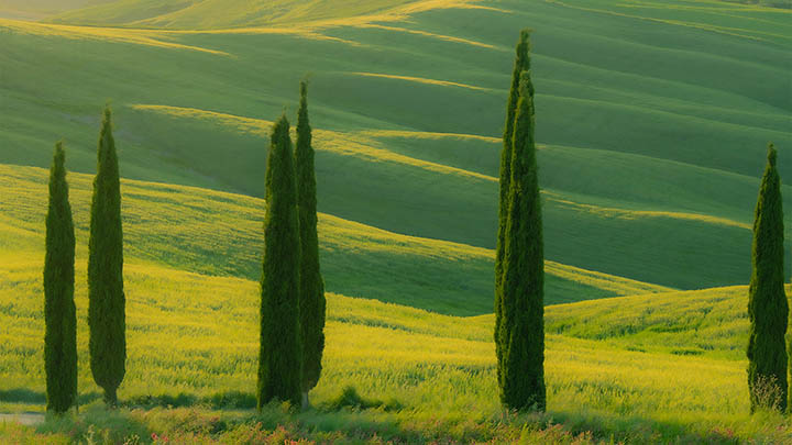 ToDesk下载电视：怎样通过官网轻松搞定设置？ 二