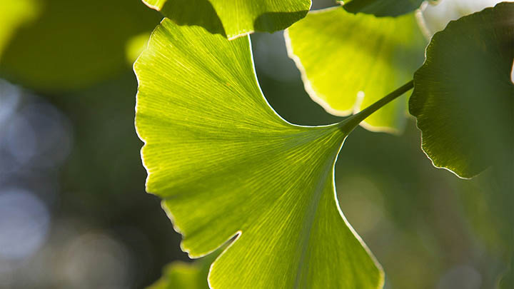 远程ToDesk下载：官网资源获取指南配3条建议 二