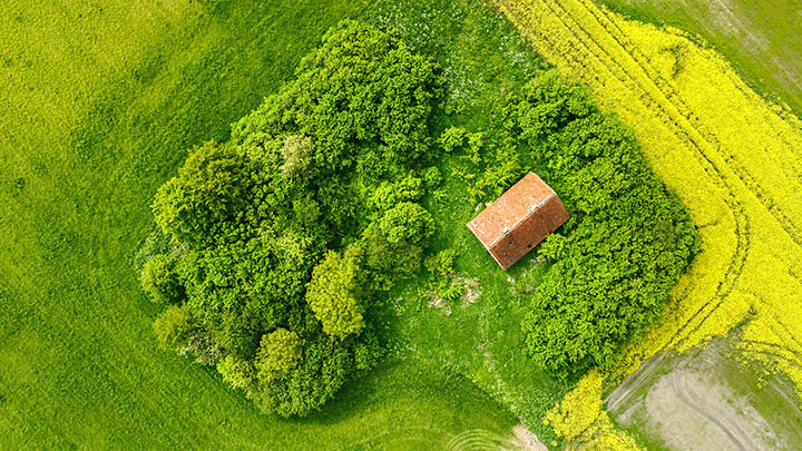 ToDesk下载远程：3步轻松实现远程桌面连接 二