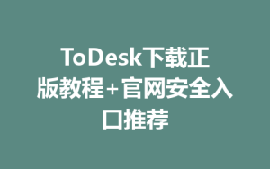ToDesk下载正版教程+官网安全入口推荐-ToDesk下载 - ToDesk官网