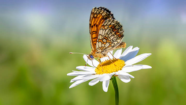 无法下载ToDesk？五大高效解决方案助你轻松掌握todesk下载技巧 二