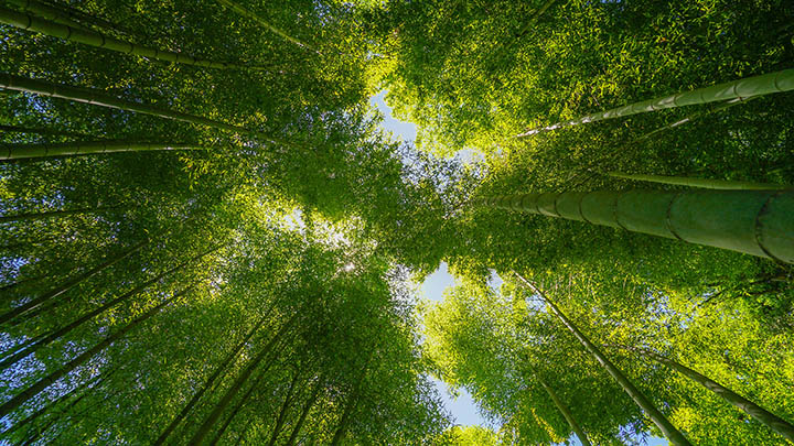 电脑ToDesk下载:快速获取远程控制工具攻略 电脑ToDesk下载:快速获取远程控制工具攻略 二
