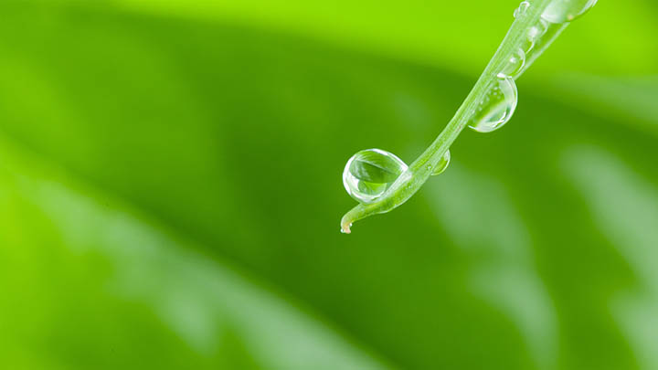 ToDesk下载中断/网络异常/权限不足全面解决指南 二