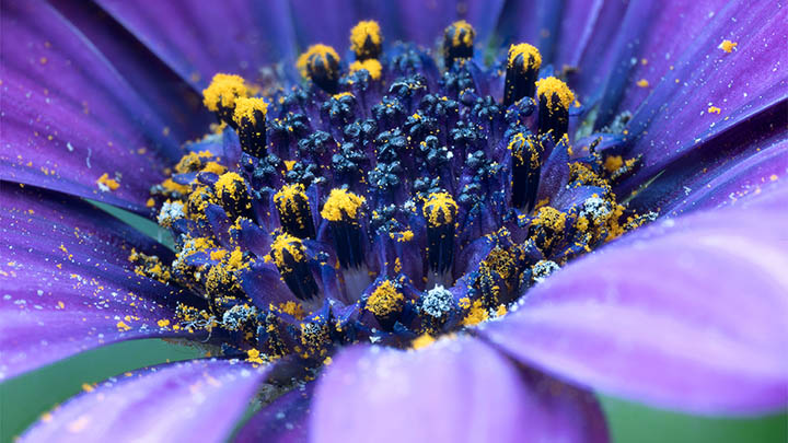 ToDesk下载流程详细揭秘：安装失败、速度慢、版本选择全方位解决方案 二