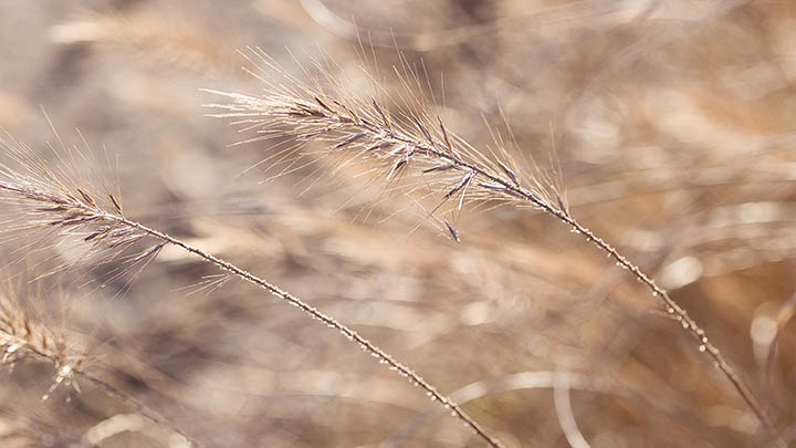 ToDesk下载官方受限？教你用5种方式轻松获取最新版本 二