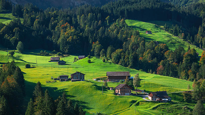 ToDesk下载怎样？详细教程教你轻松获取最新版本 二