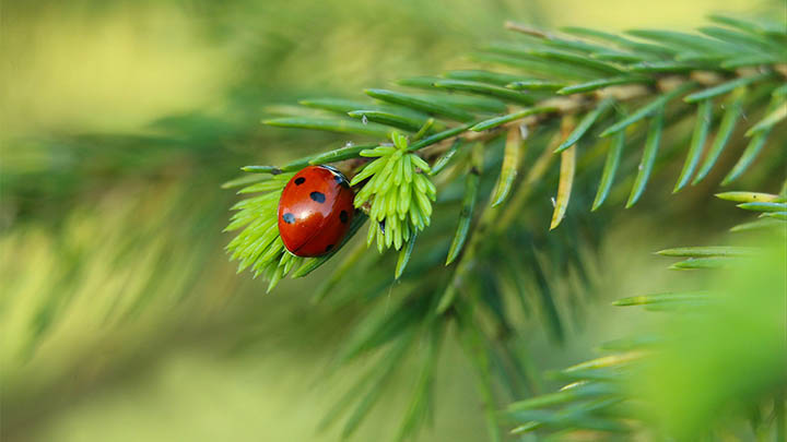 ToDesk下载链接指南+官方入口配置 二