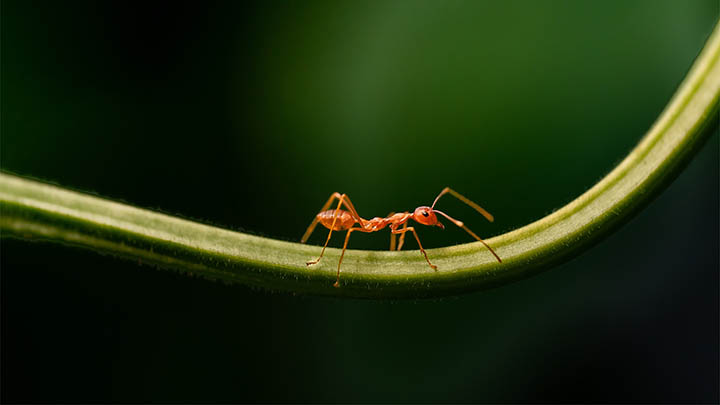 ToDesk下载捷径:Windows平台安装指南+官方入口 ToDesk下载捷径:Windows平台安装指南+官方入口 二