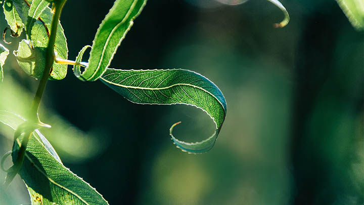 MacToDesk下载怎么安装？全网最全教程+官方入口解析 二