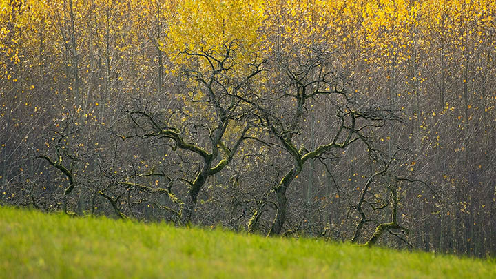 iPad如何安装ToDesk软件?下载全流程+常见问题解析 iPad如何安装ToDesk软件?下载全流程+常见问题解析 二