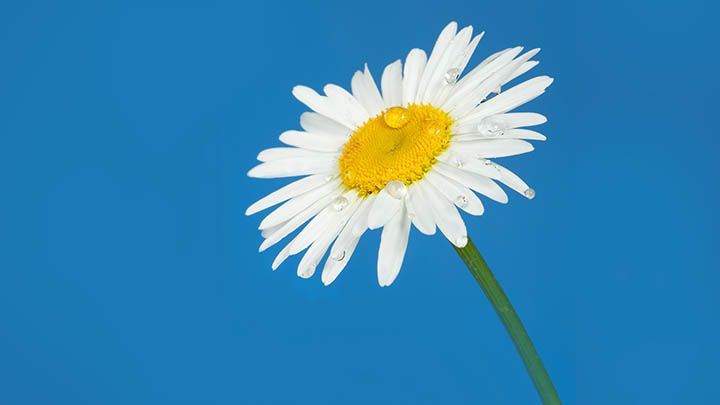 如何在官网顺利下载ToDesk：一步步指南与实用技巧解读 二