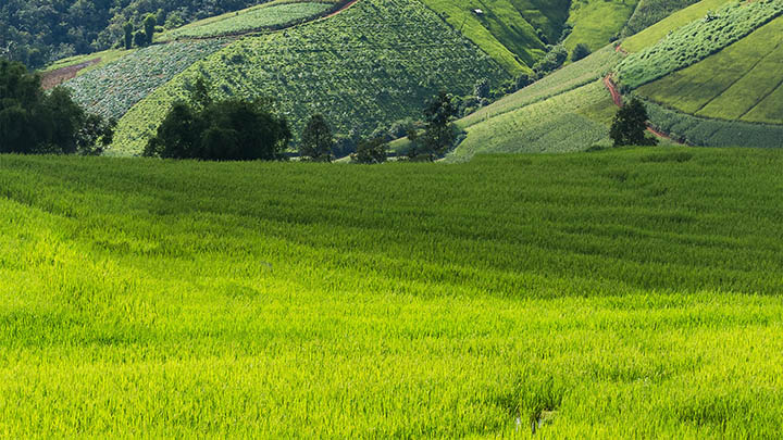 ToDesk下载1.2.7版+全新功能详解教程 二