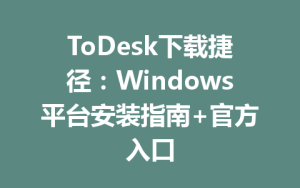 ToDesk下载捷径：Windows平台安装指南+官方入口-ToDesk下载 - ToDesk官网